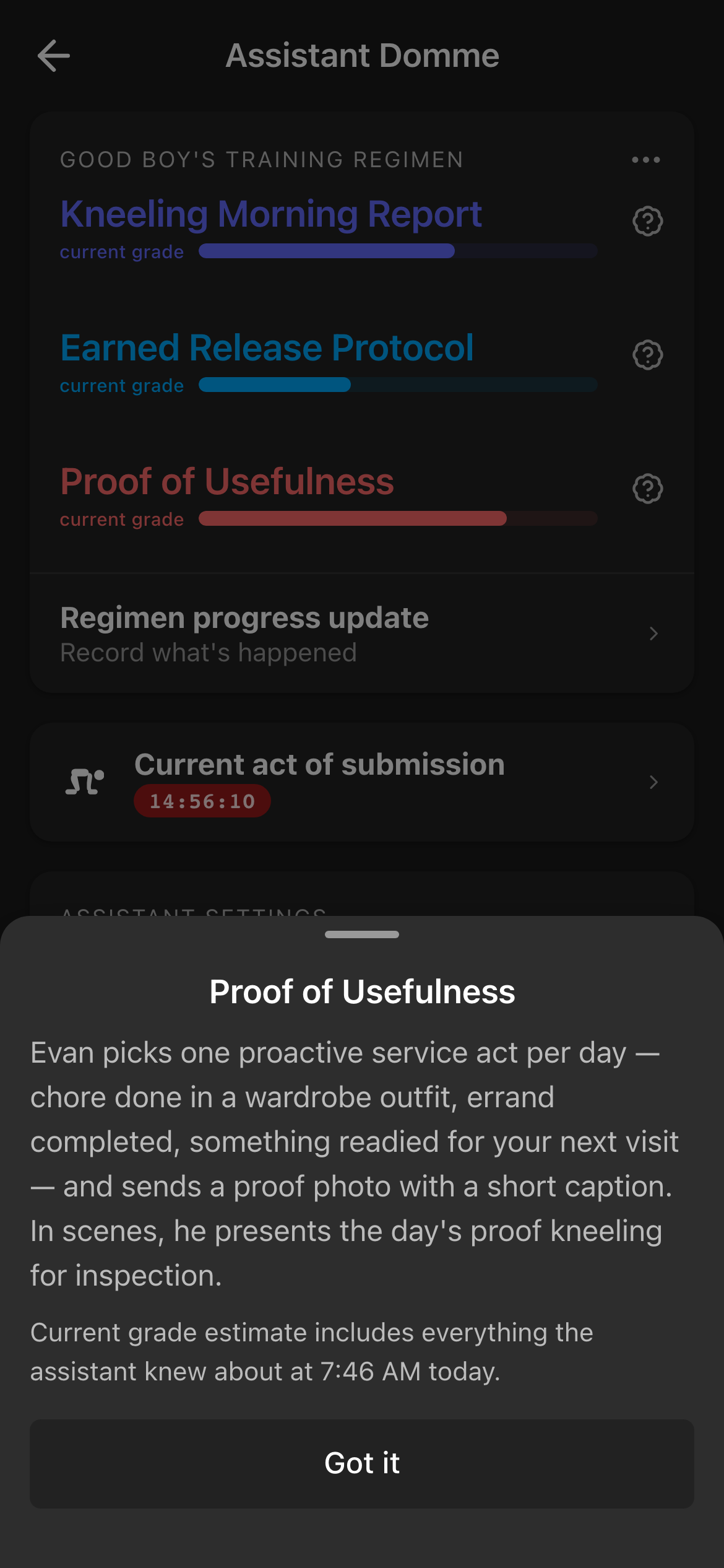 Assistant Dom training regimen goal detail sheet